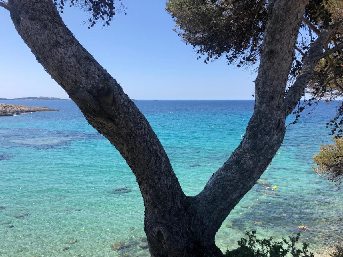 Les Baux 1 Lejlighed Sanary-sur-Mer Eksteriør billede